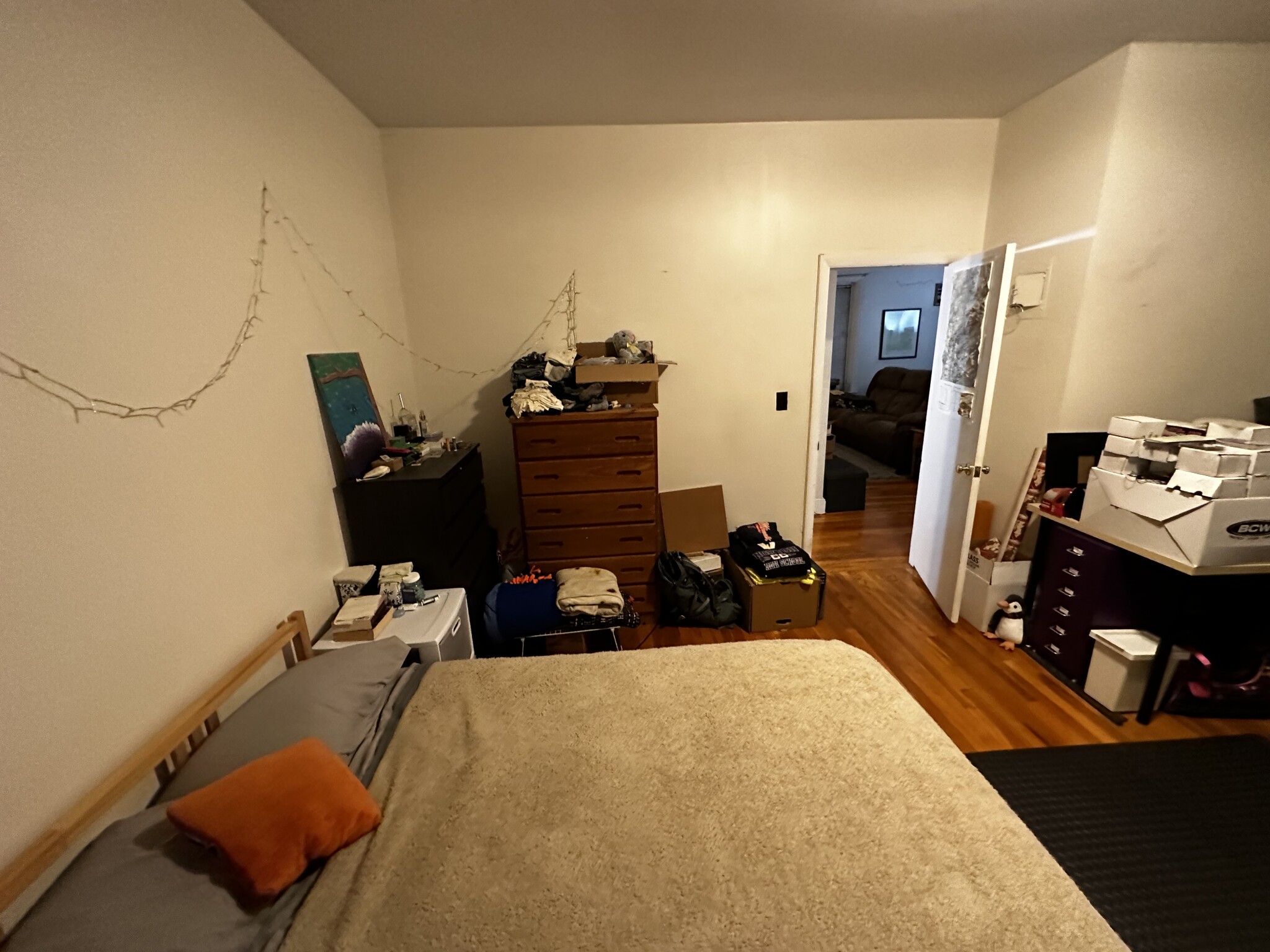 202 Saint Paul St, Coolidge Corner