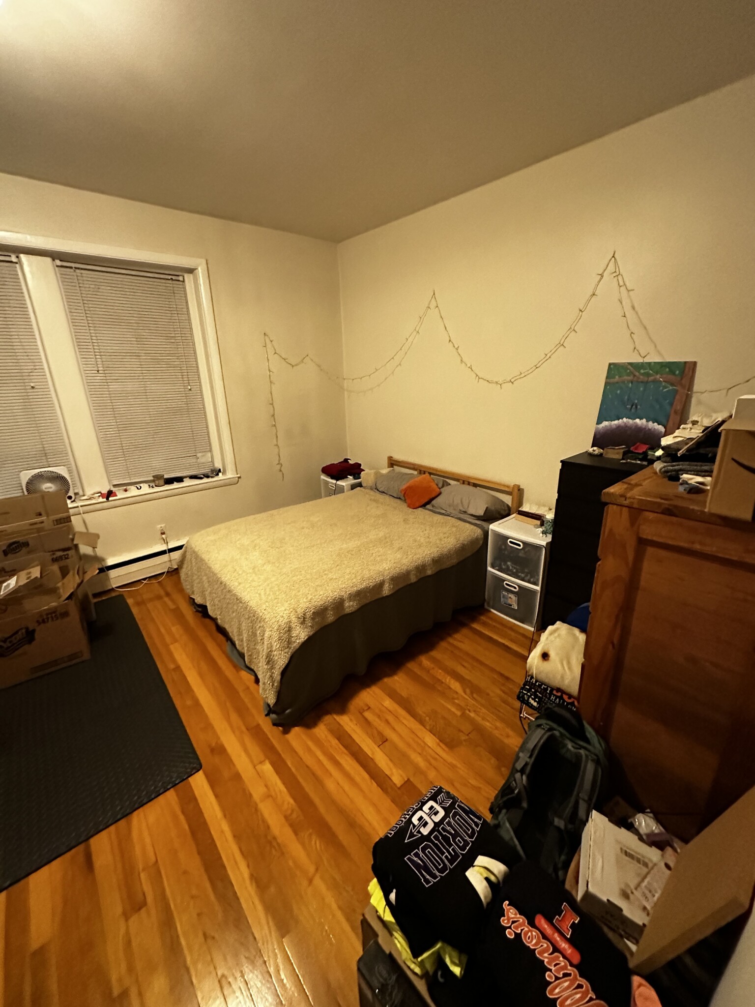 202 Saint Paul St, Coolidge Corner