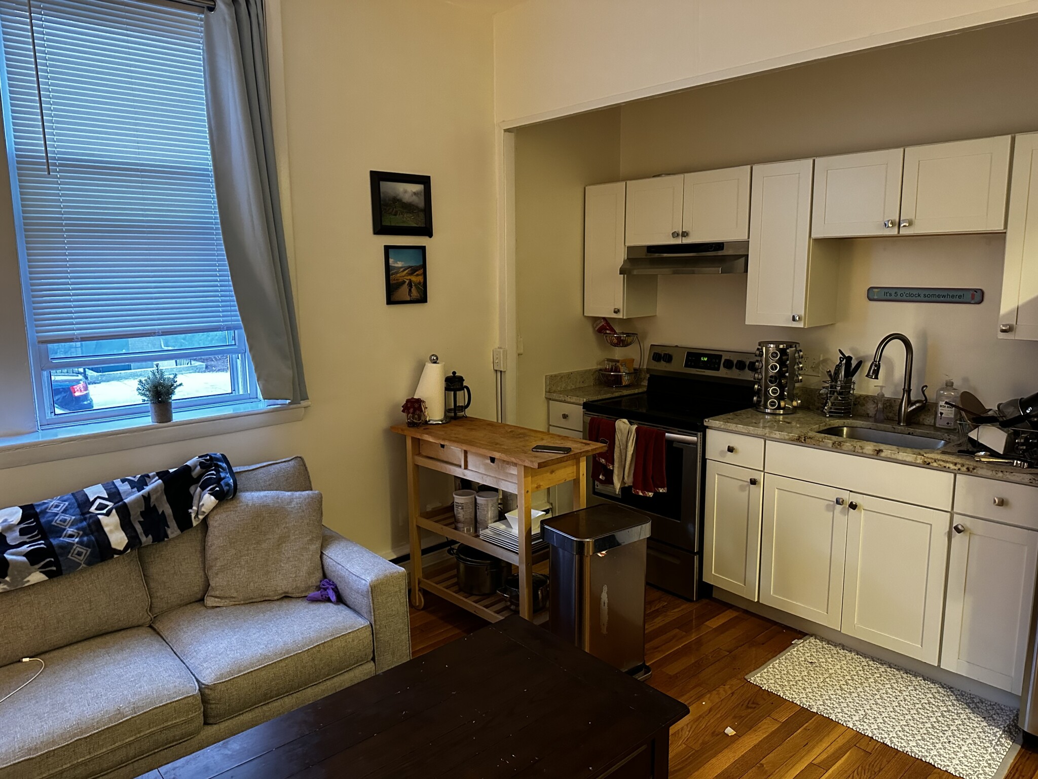 202 Saint Paul St, Coolidge Corner