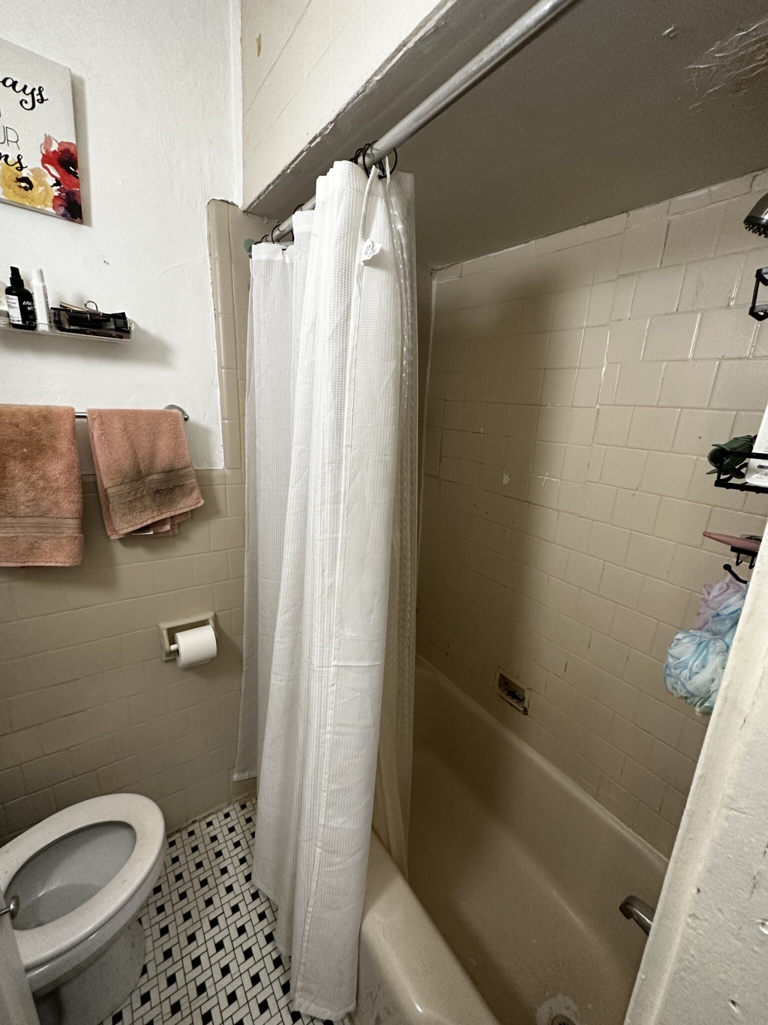 28 Myrtle St, Beacon Hill