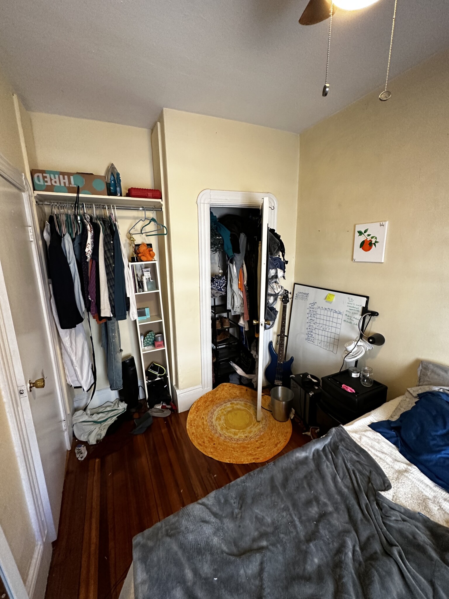 28 Myrtle St, Beacon Hill