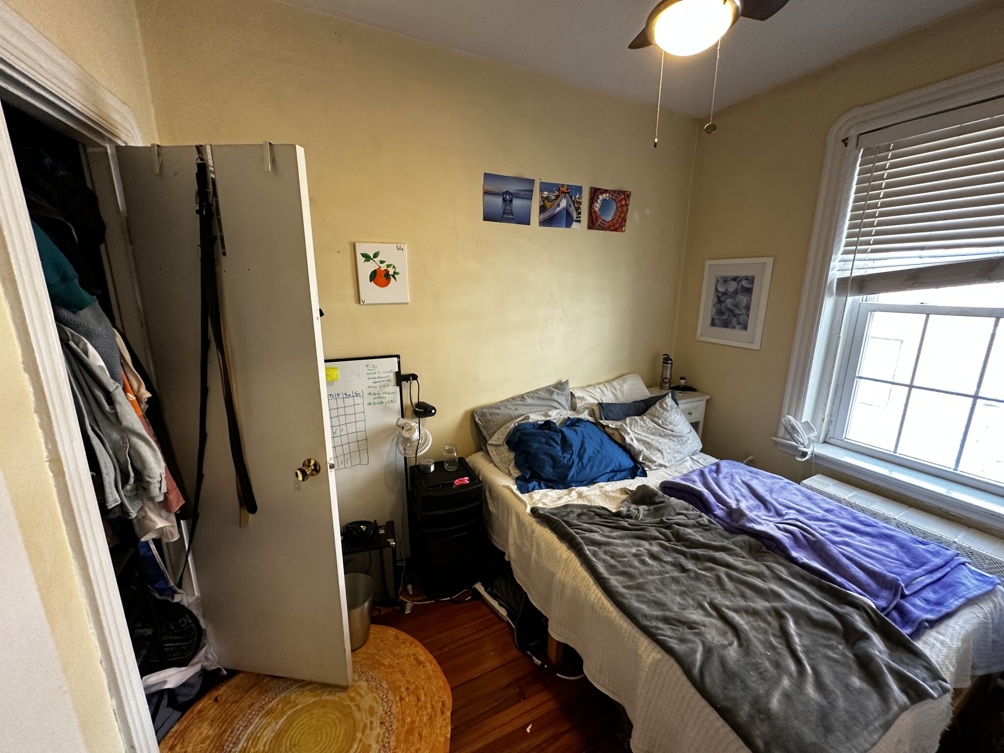 28 Myrtle St, Beacon Hill