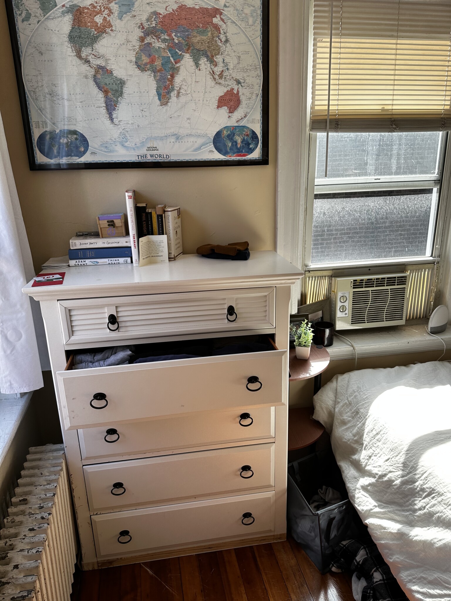 28 Myrtle St, Beacon Hill