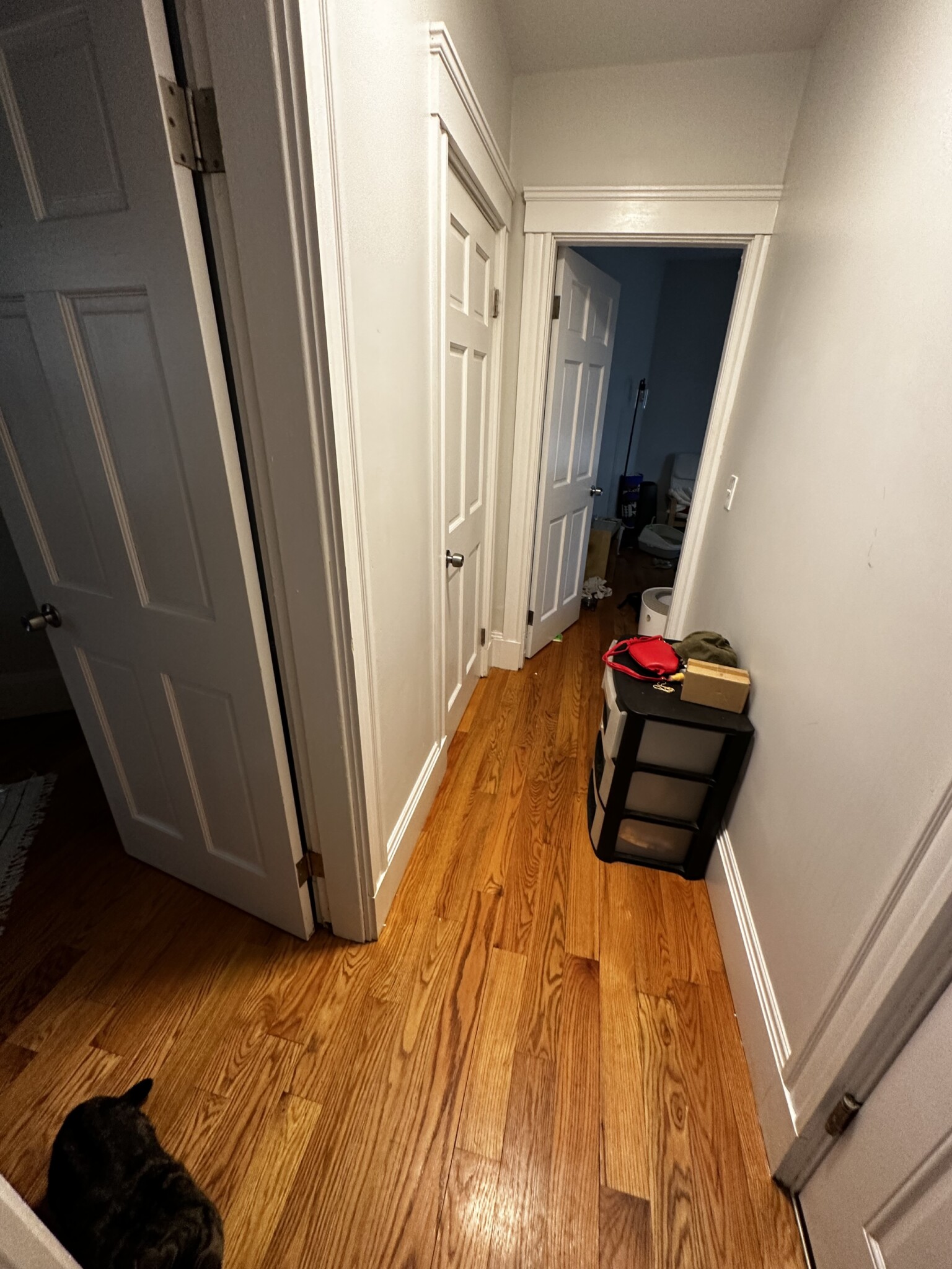 88 Hampshire St, East Cambridge