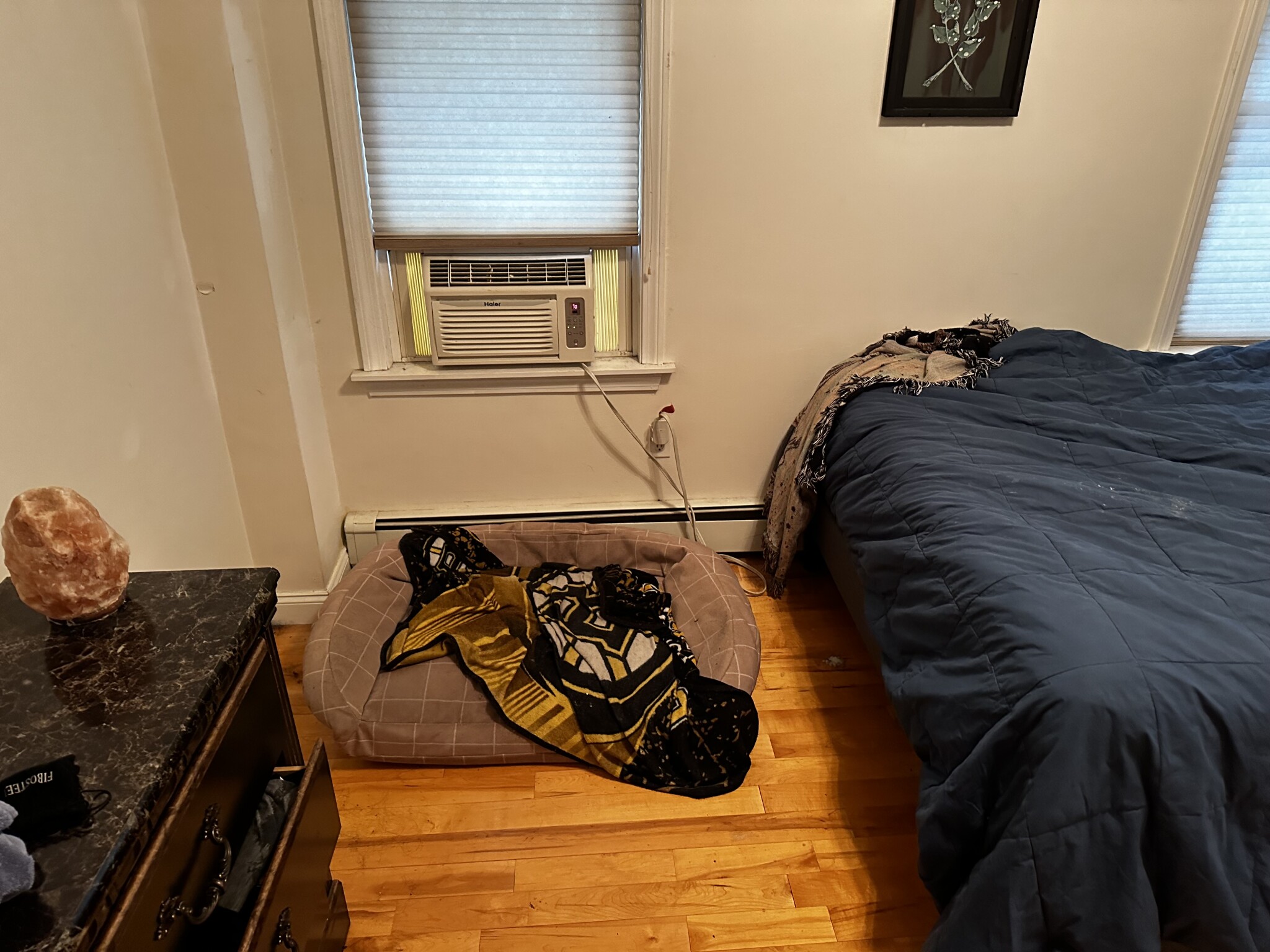 193 Brookline St, Cambridgeport