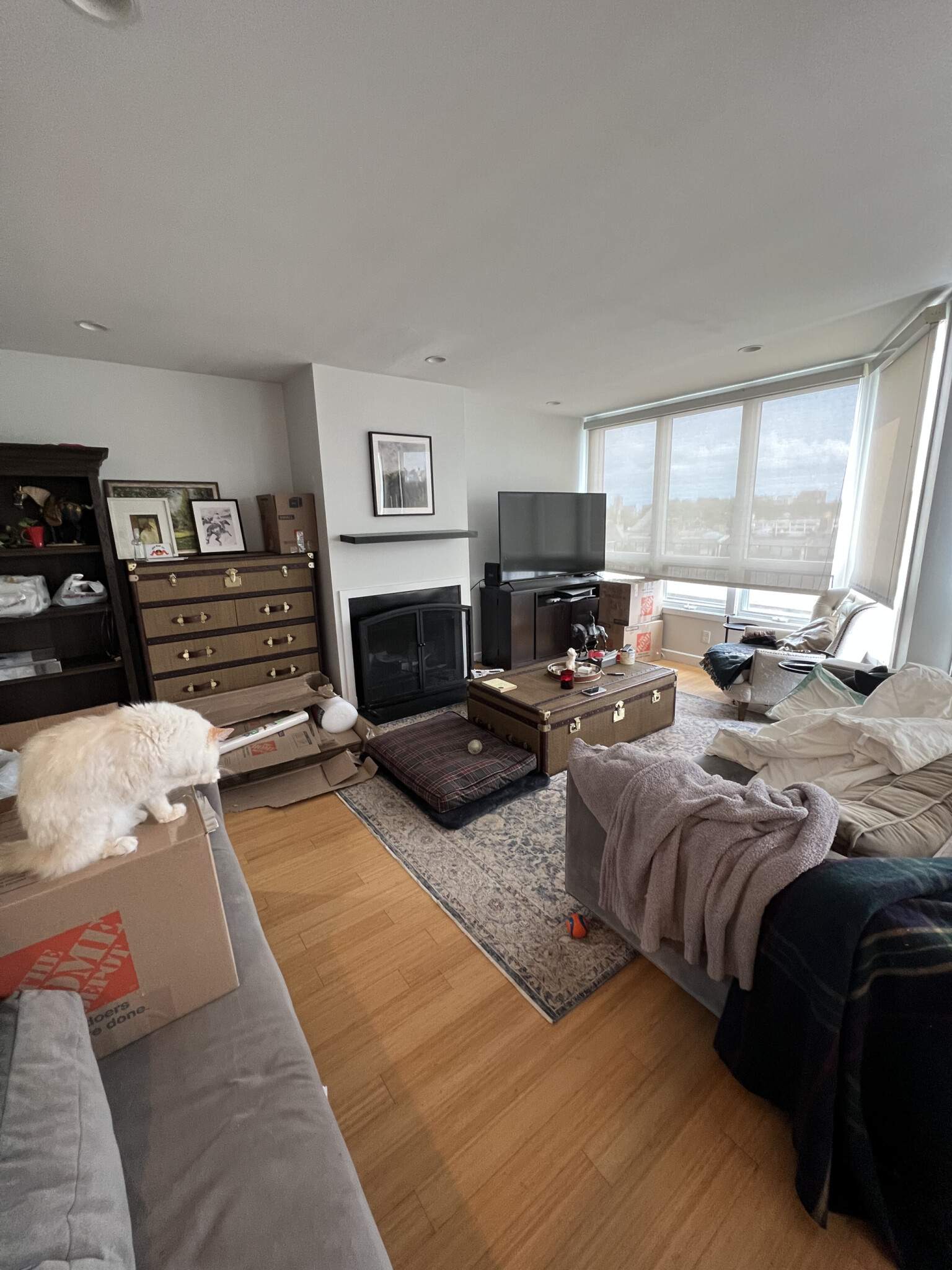 557 Columbus Ave, South End