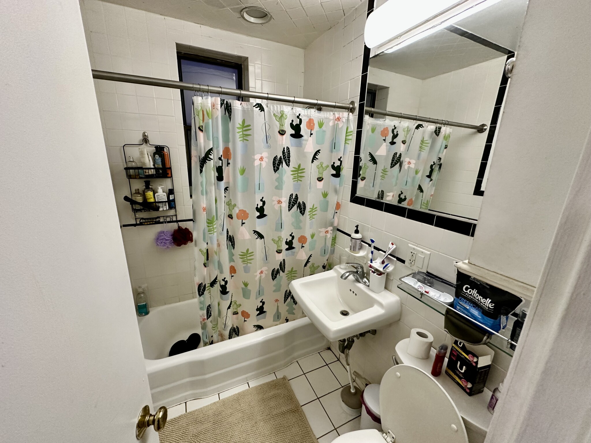 45 Westland Ave, Fenway