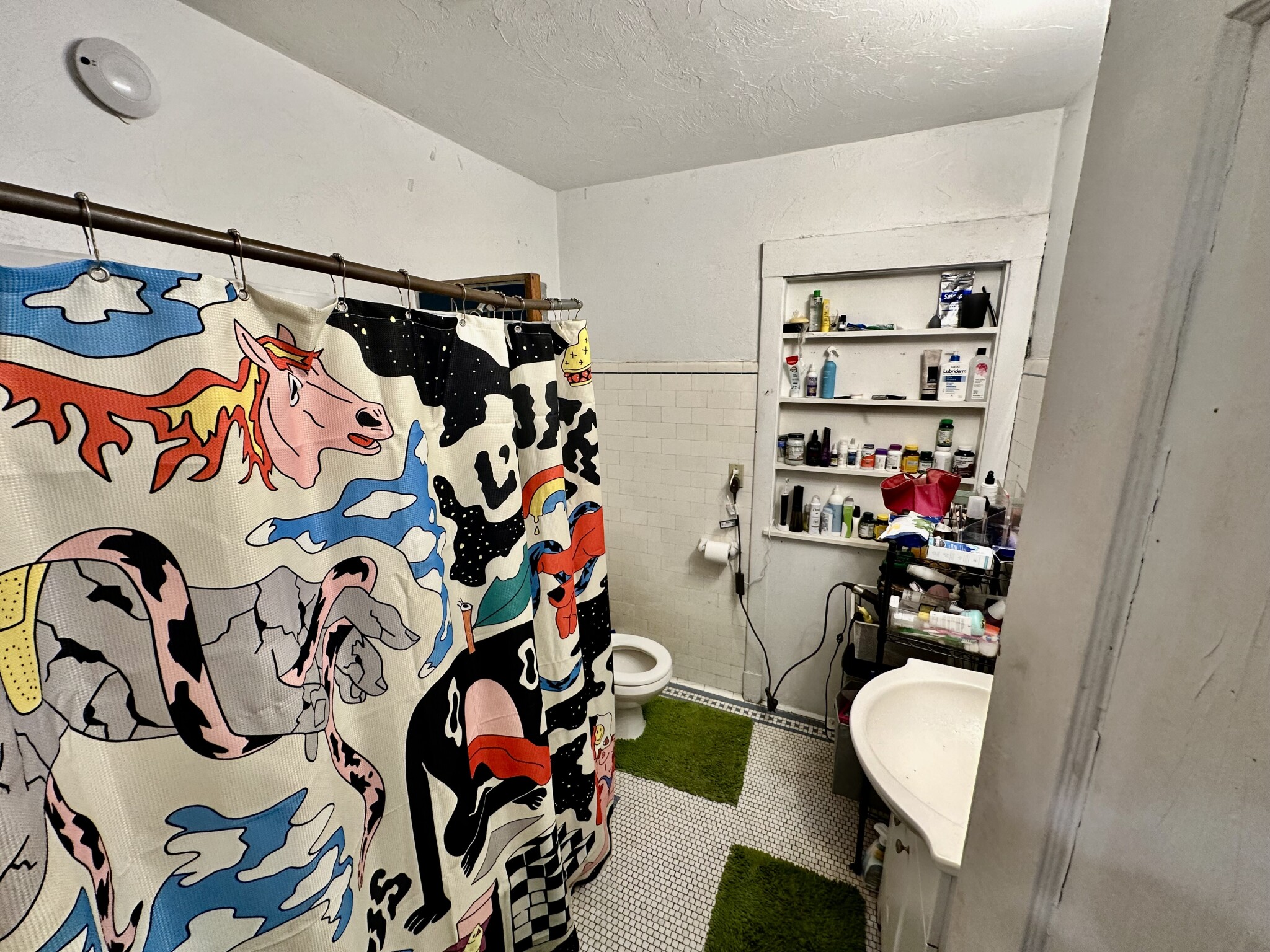 316 Saint Paul, Coolidge Corner