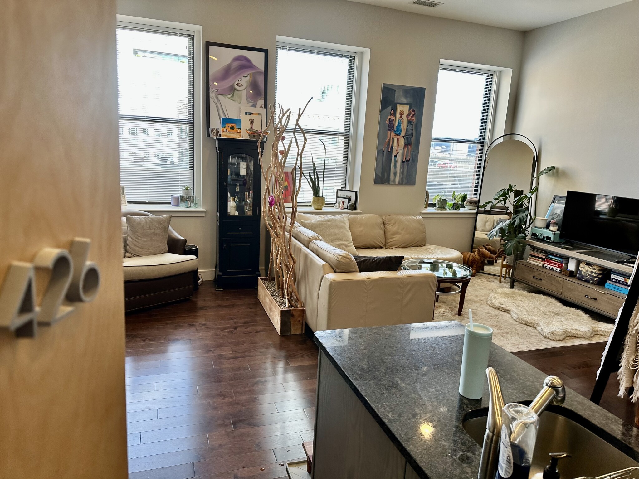 460c Harrison Ave, South End