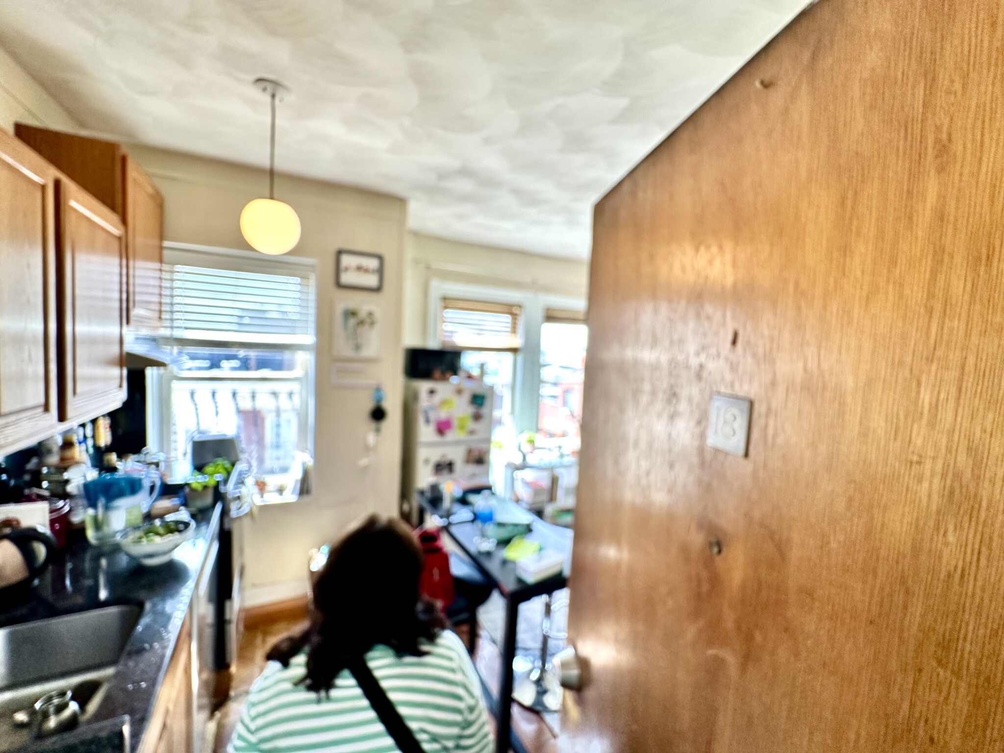 108 Myrtle St, Beacon Hill