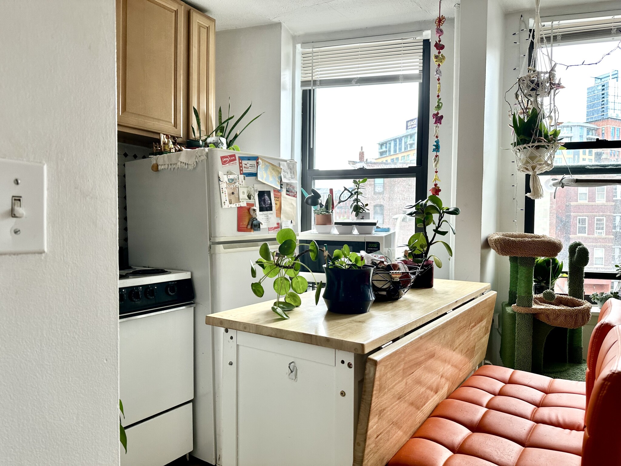 5 North Margin, North End