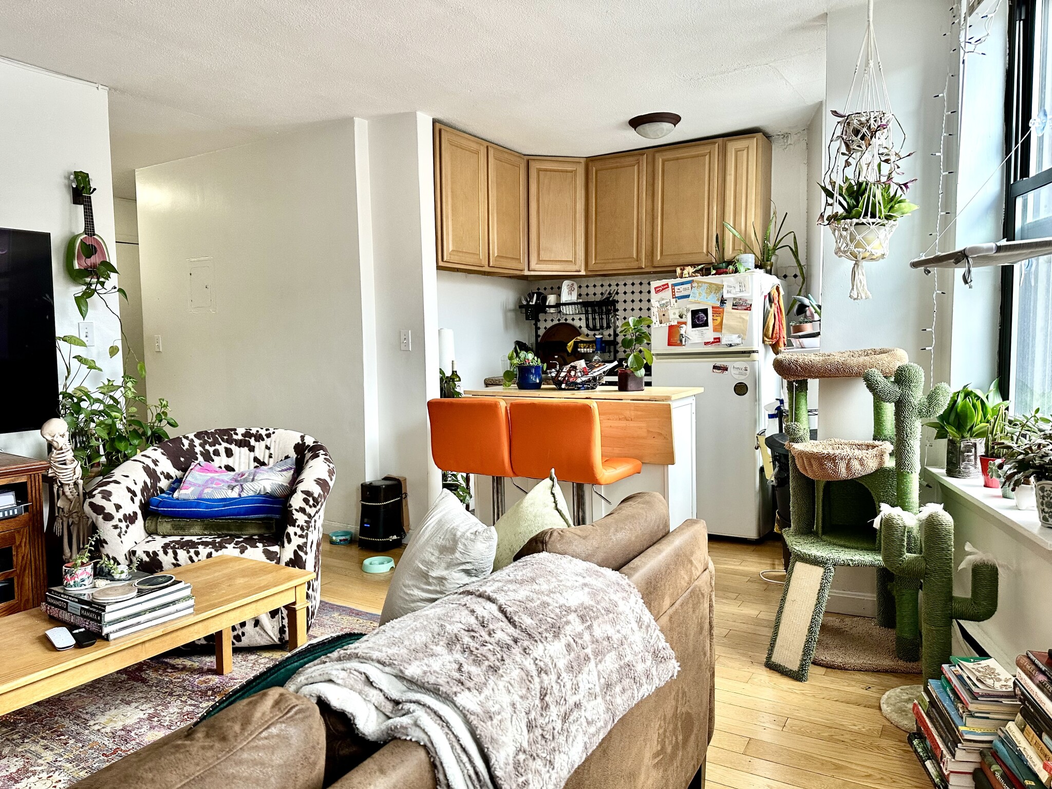 5 North Margin, North End