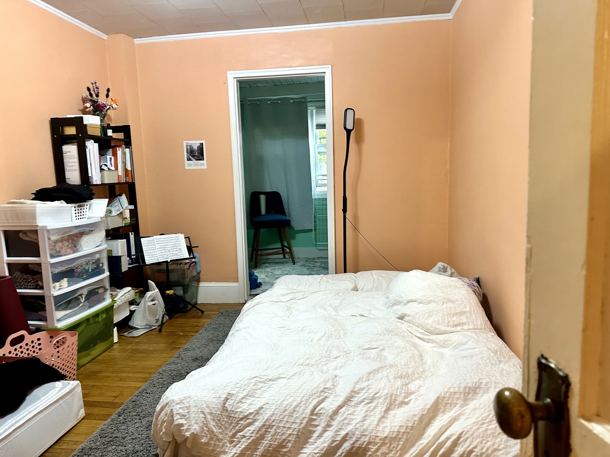 223 Summer St, Spring Hill