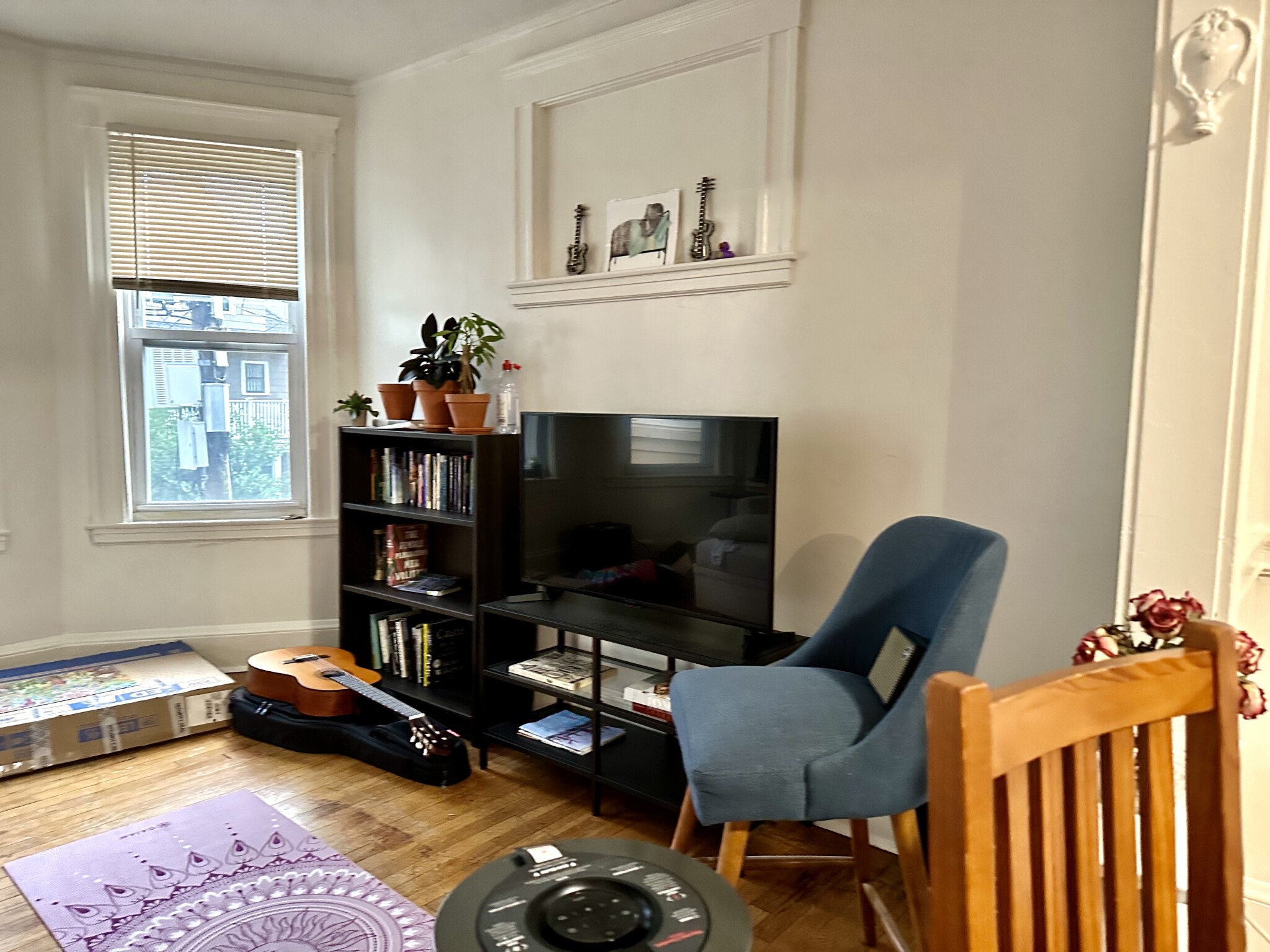 223 Summer St, Spring Hill