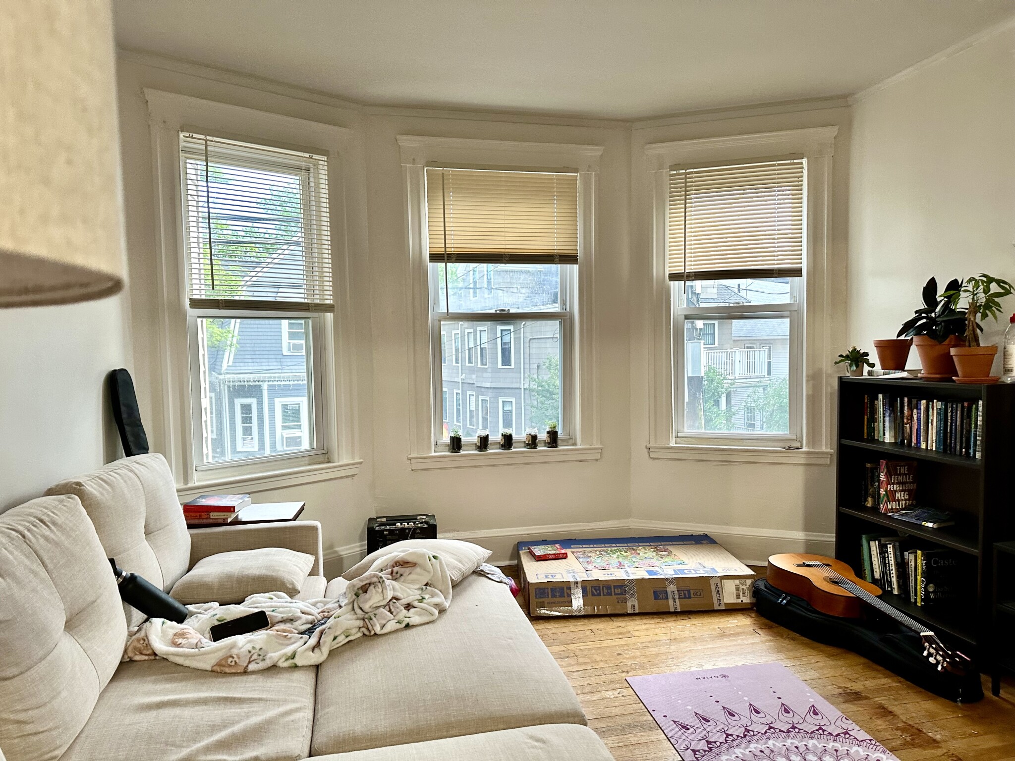 223 Summer St, Spring Hill