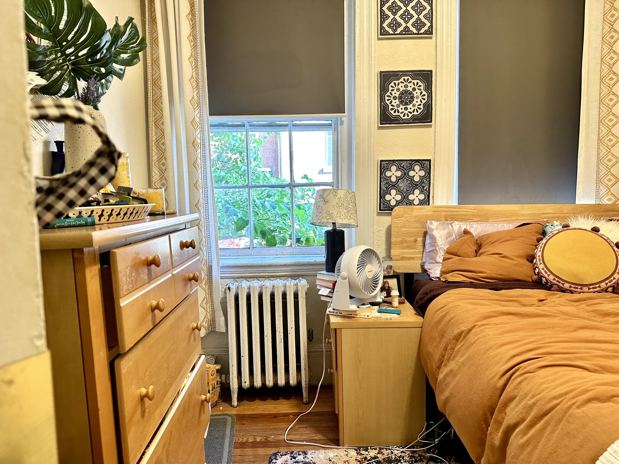 127 Myrtle St, Beacon Hill