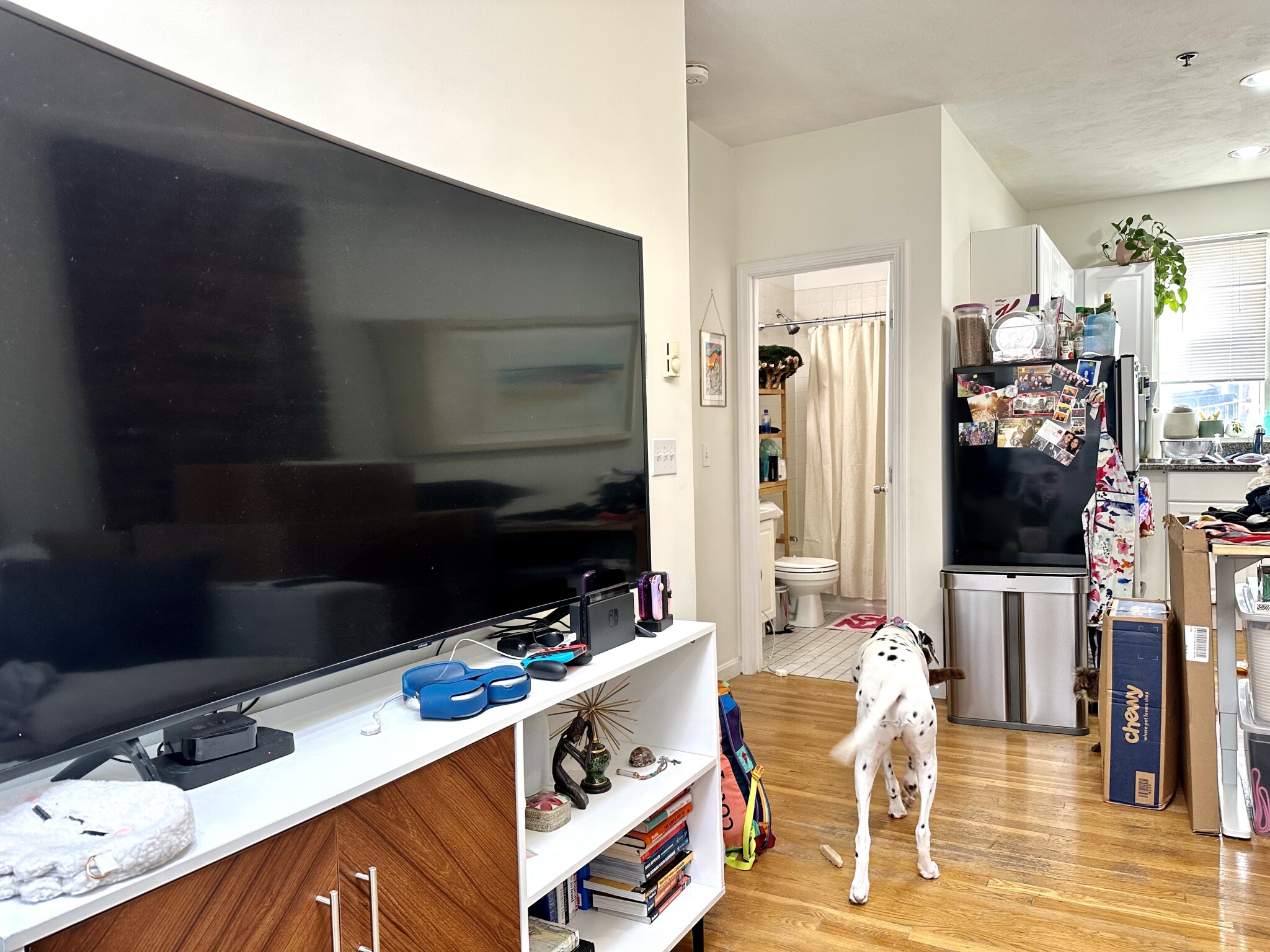 6 Cleveland Pl, North End