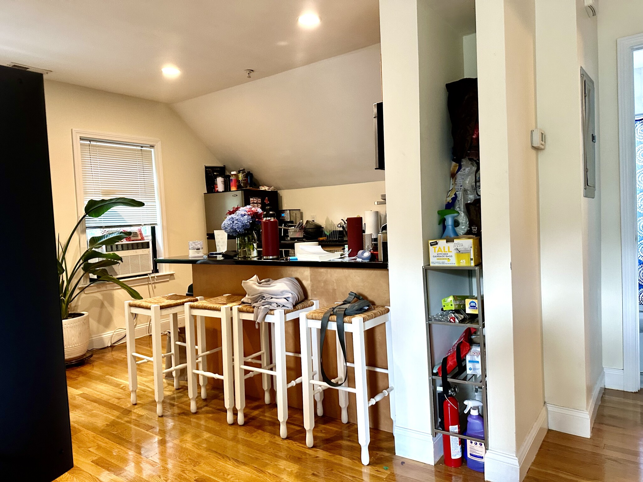 172 Fuller St, North Brookline