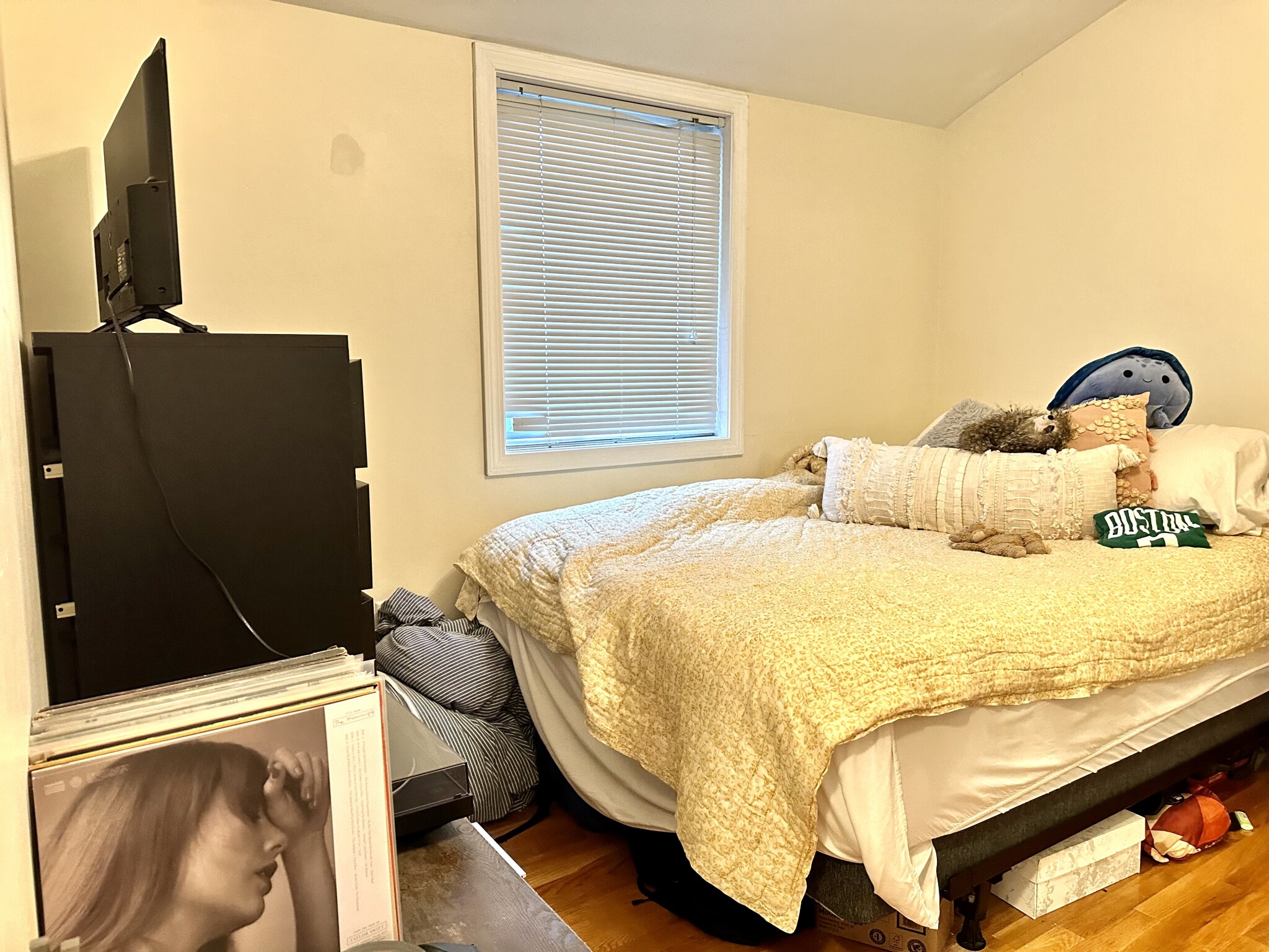 172 Fuller St, North Brookline