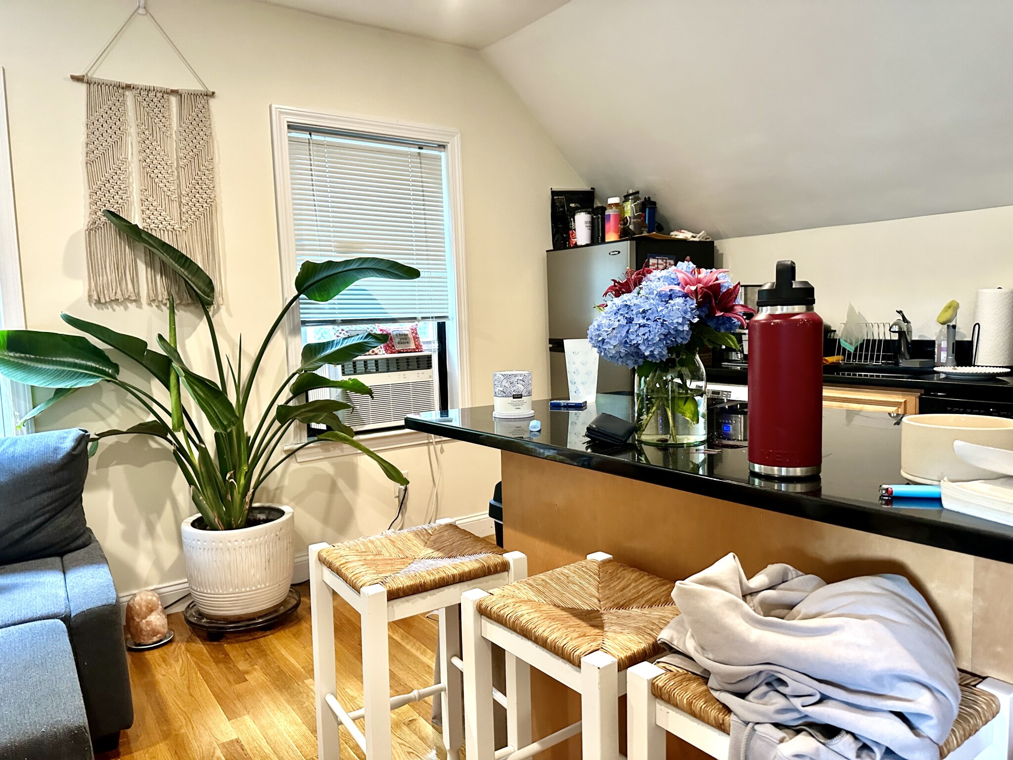 172 Fuller St, North Brookline