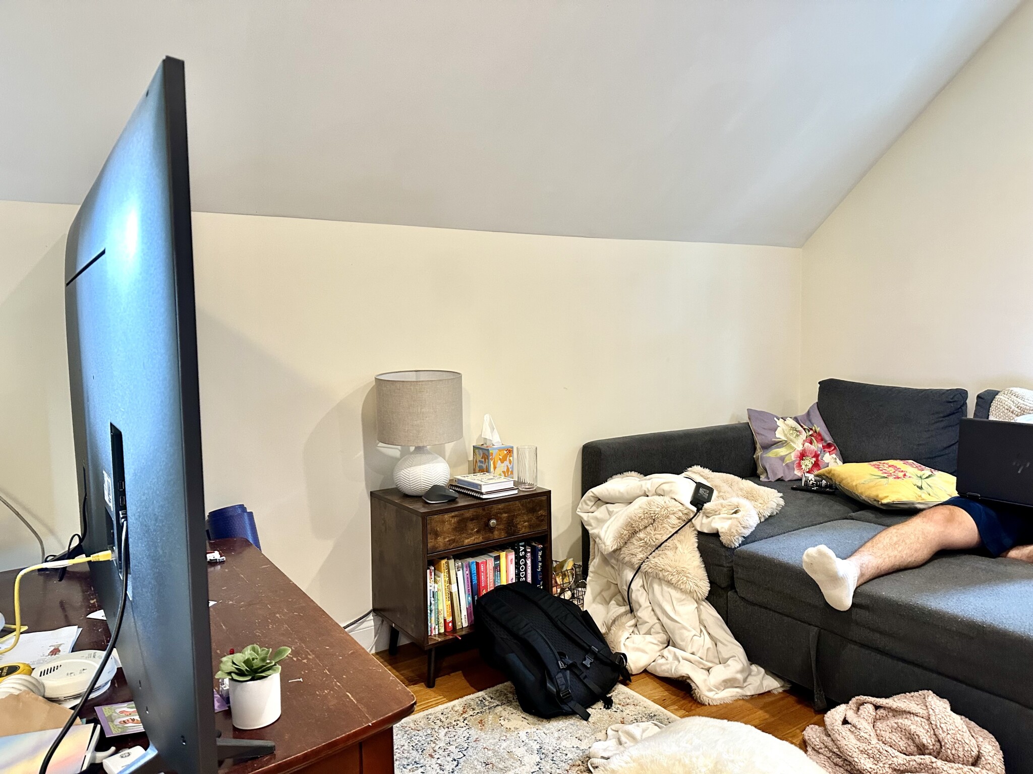 172 Fuller St, North Brookline