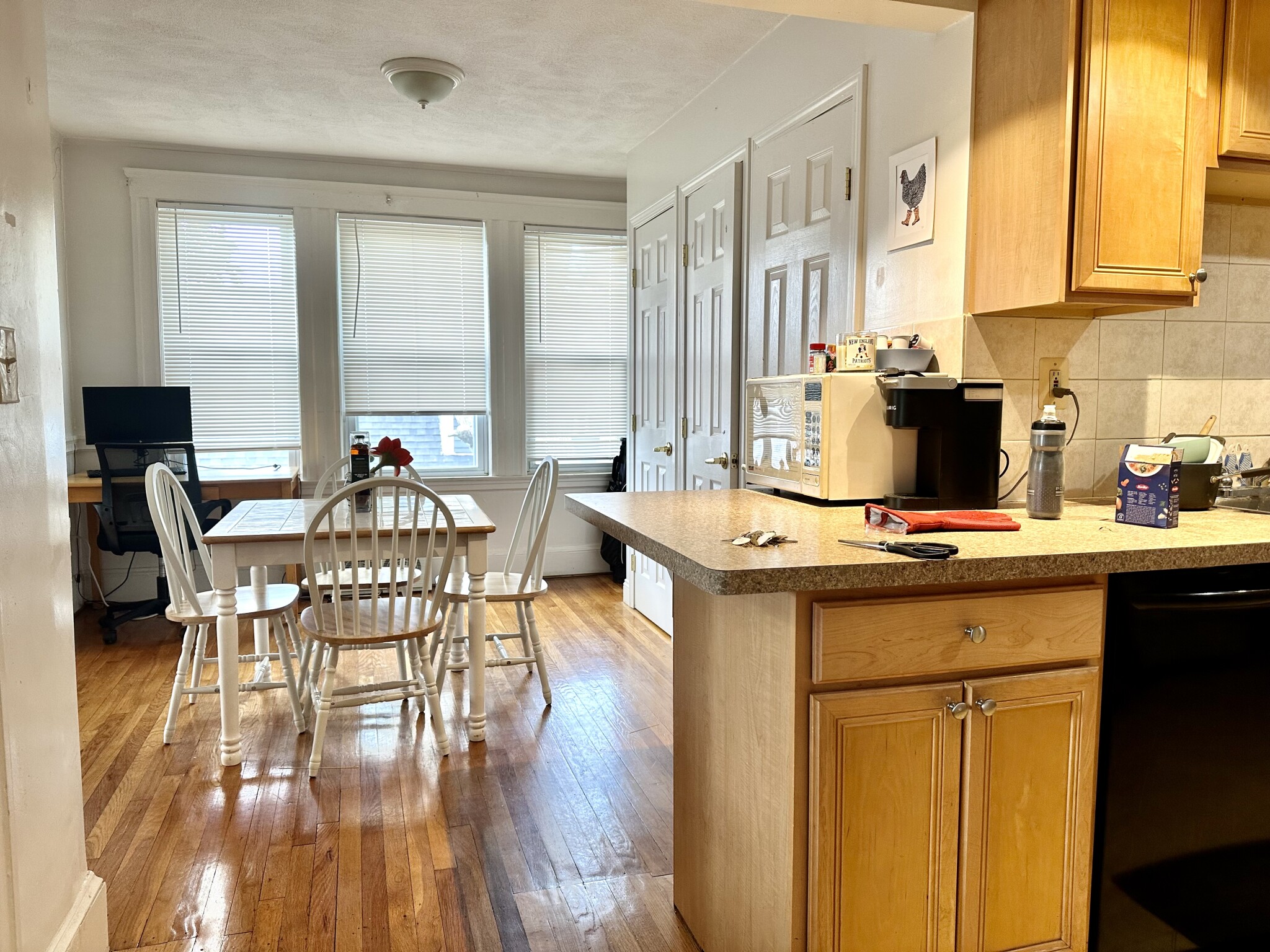 223 Summer St, Spring Hill