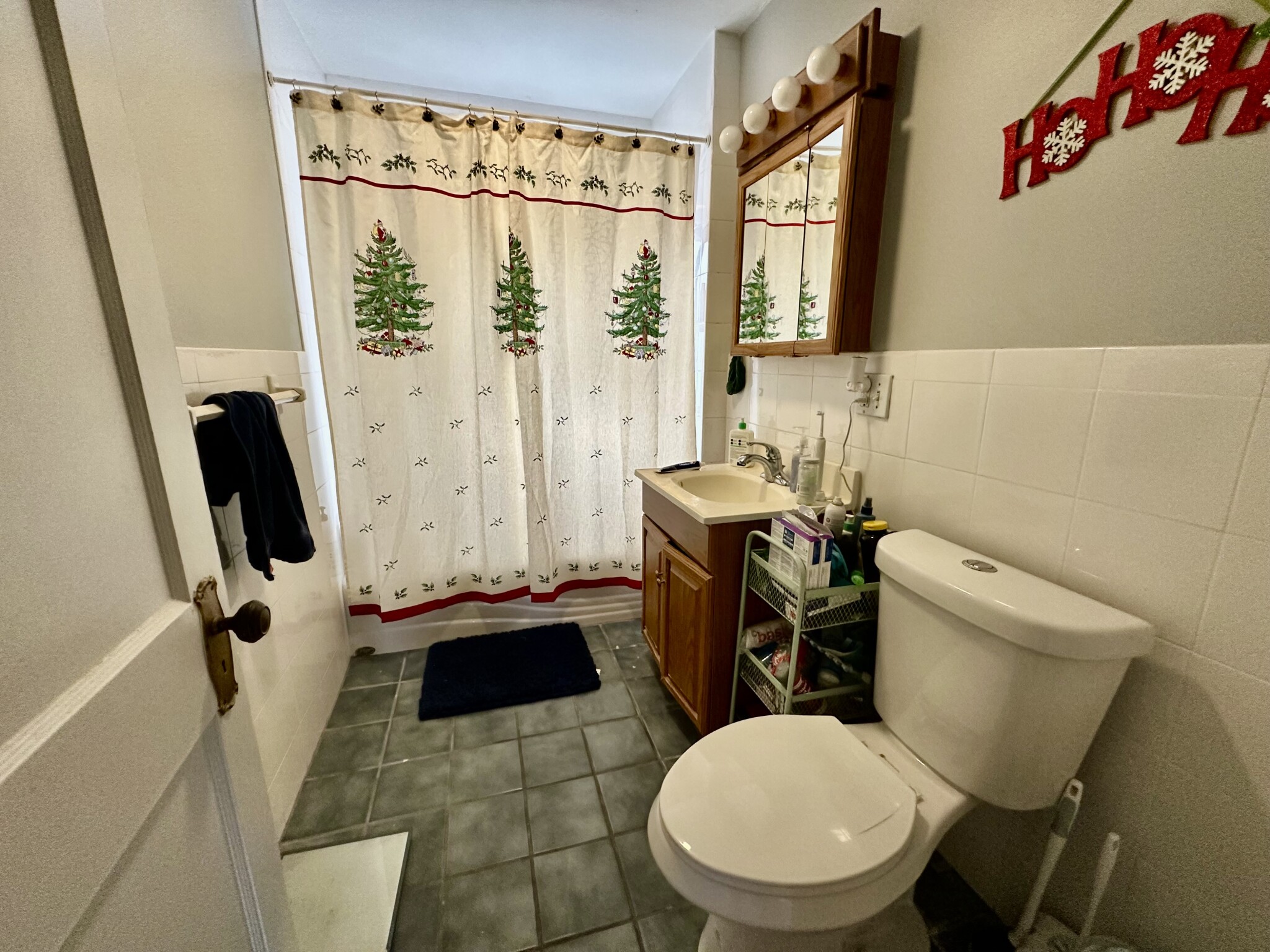 238 L St, South Boston