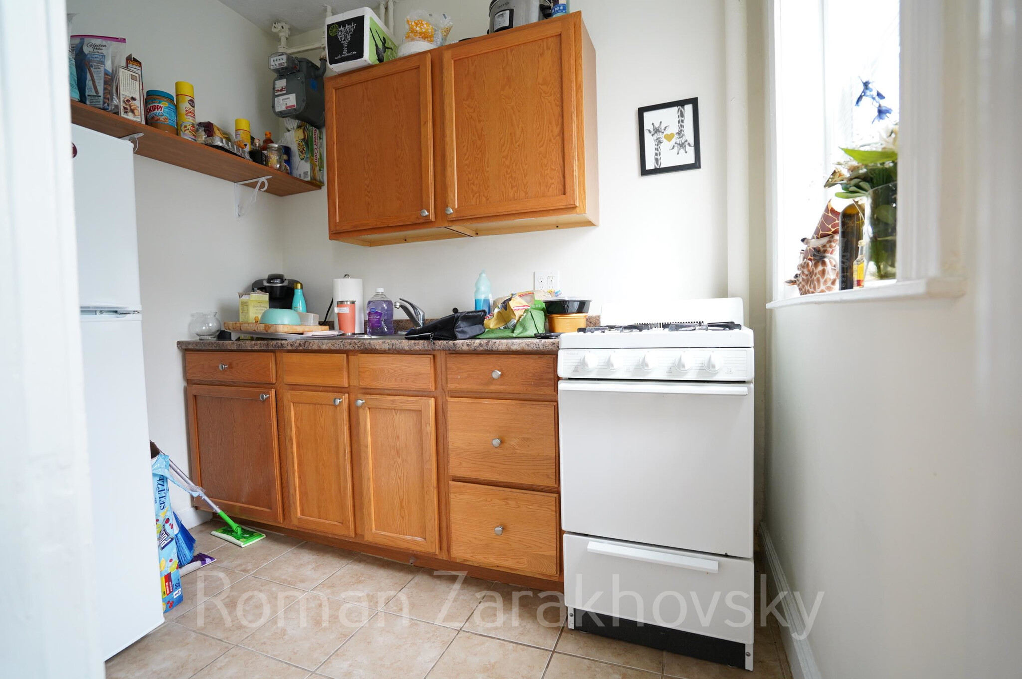 https://ygl-photos.s3.us-west-004.backblazeb2.com/8570W62575fc594369.jpg