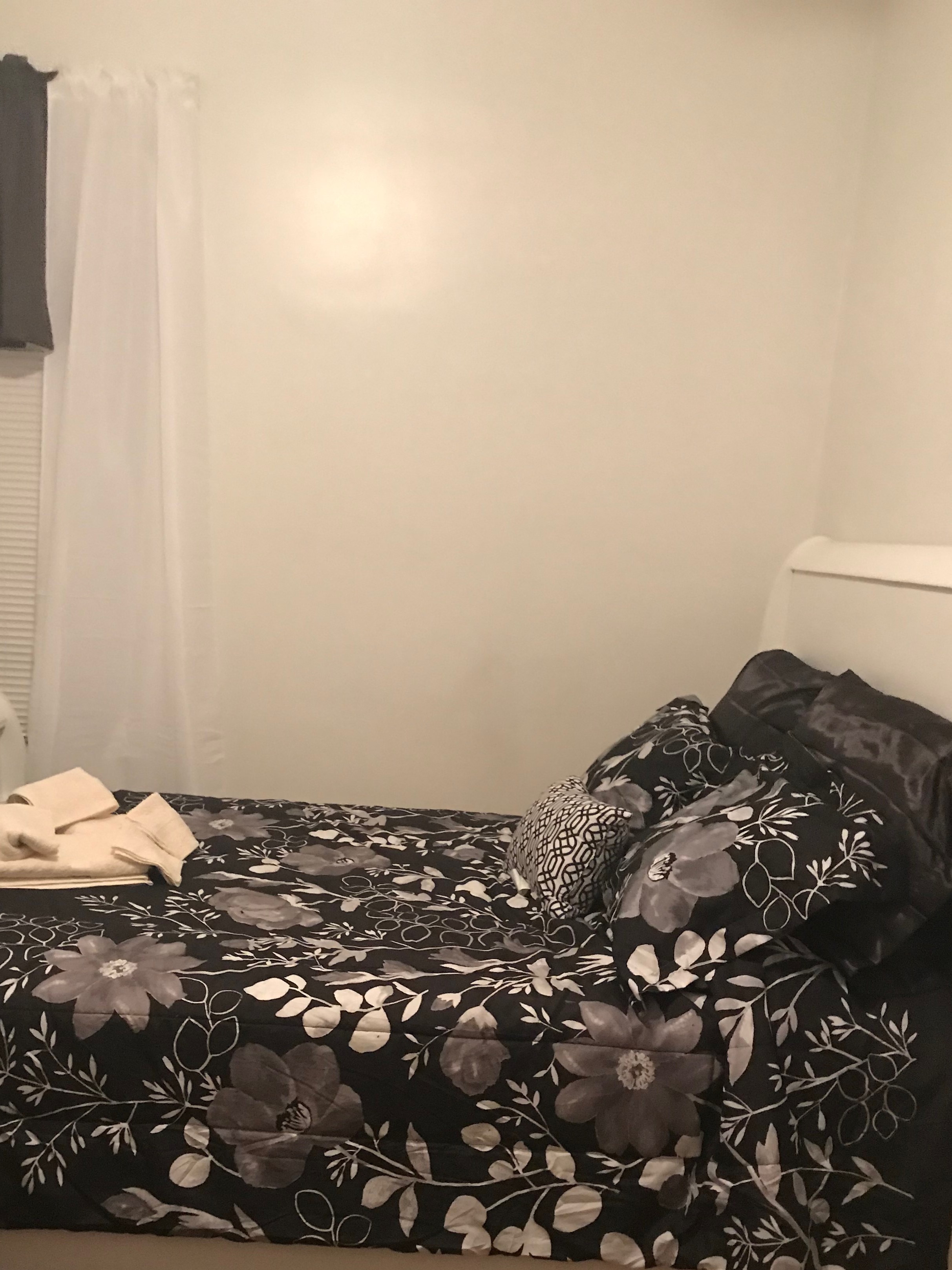2 bed, 1 bath apartment for rent at 41 Cunard St Unit C, South End