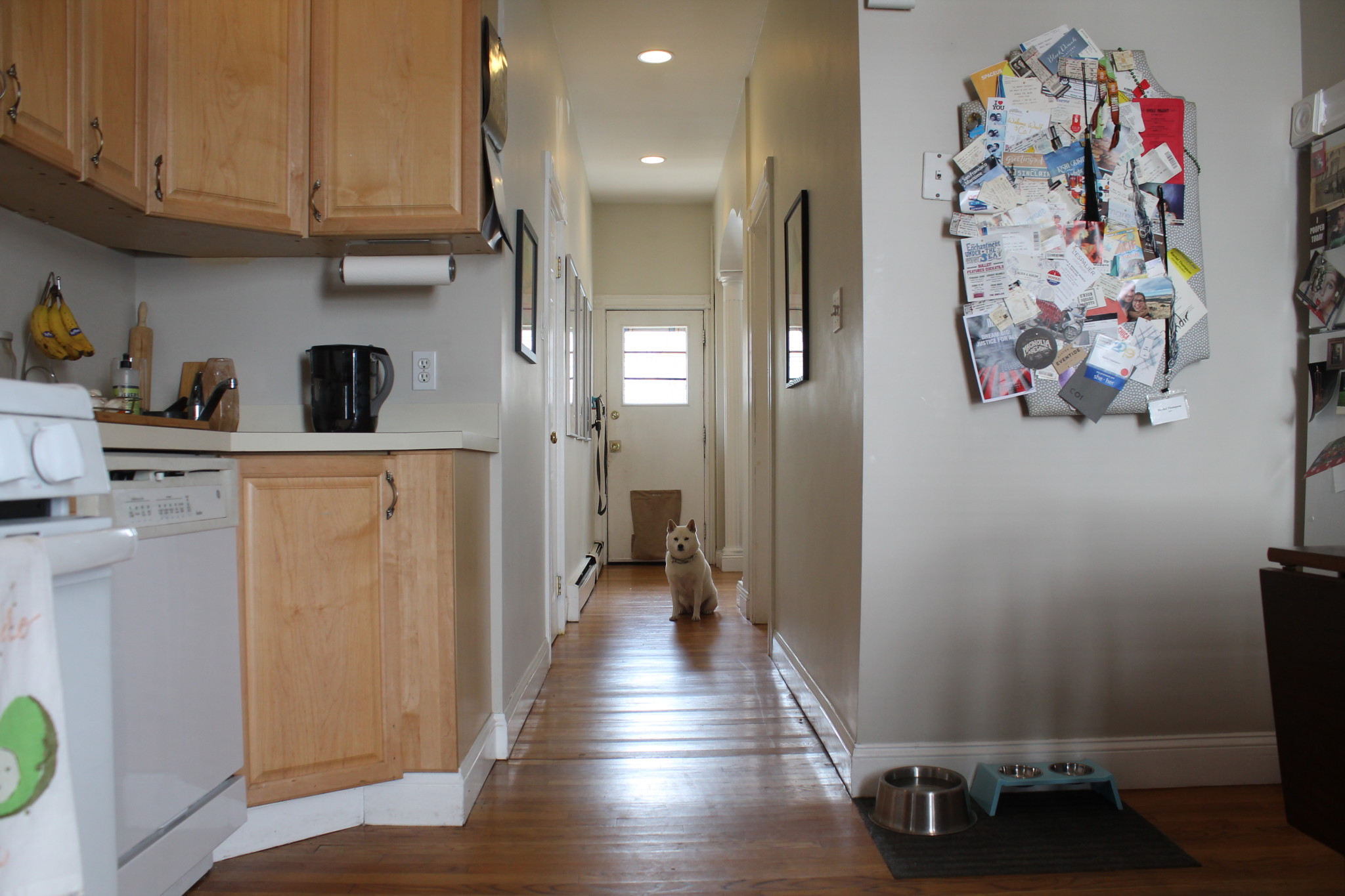 2 bed, 1 bath apartment for rent at 24 Portsmouth St Unit 2, Porter Square — photo 7 of 16
