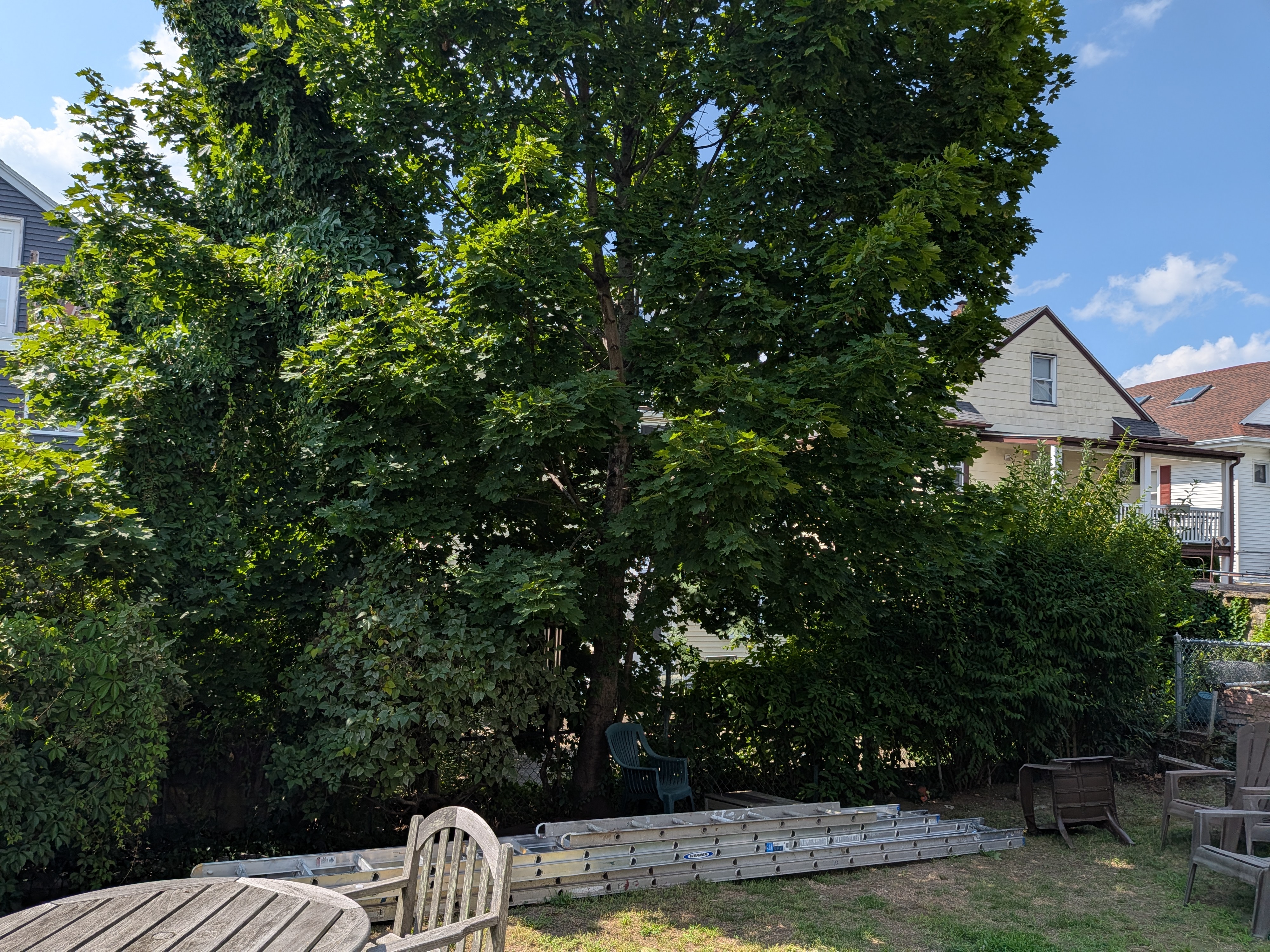 Photos of apartment on West Quincy St.,Somerville MA 02144