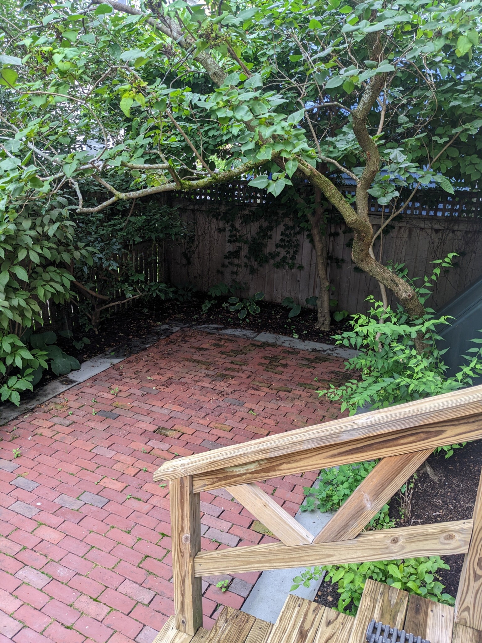 29 Ellsworth Ave, Harvard Square