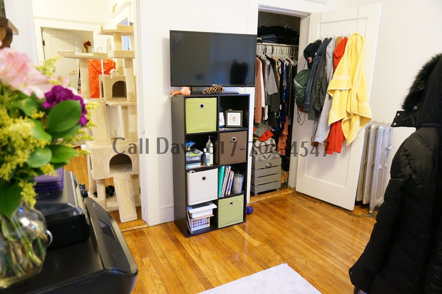 https://ygl-photos.s3.us-west-004.backblazeb2.com/8655O5a7253e8034b9.jpg