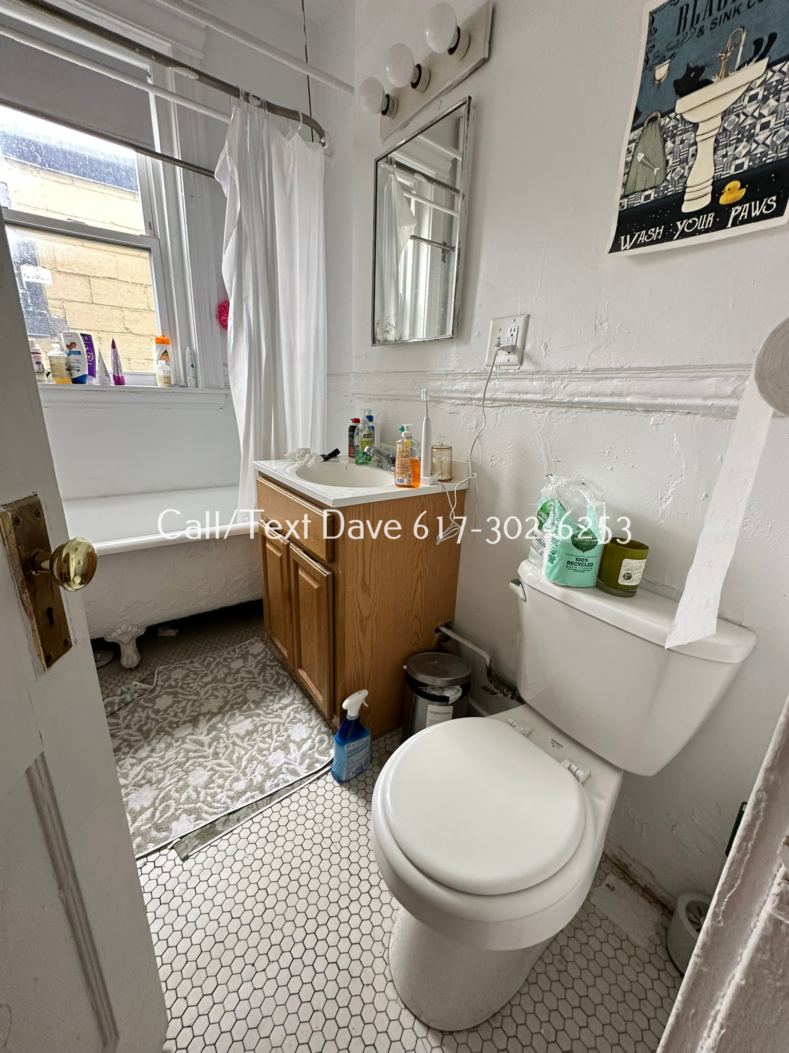 https://ygl-photos.s3.us-west-004.backblazeb2.com/8655O682a26db472e7.jpeg