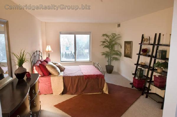 345 Franklin St, Central Square