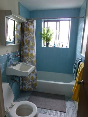 15 Chester St, North Cambridge