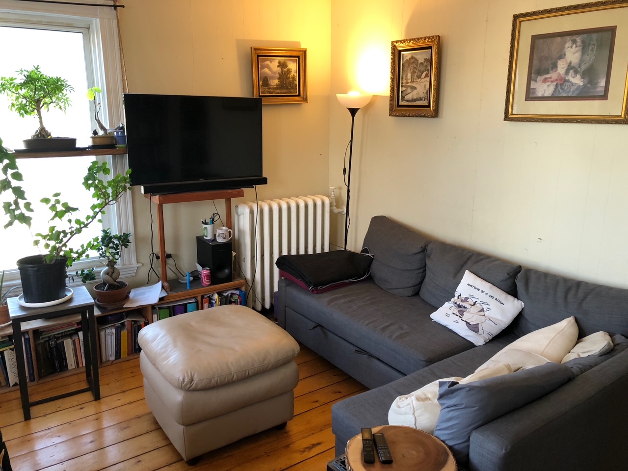 48 Jaques St, Magoun Square