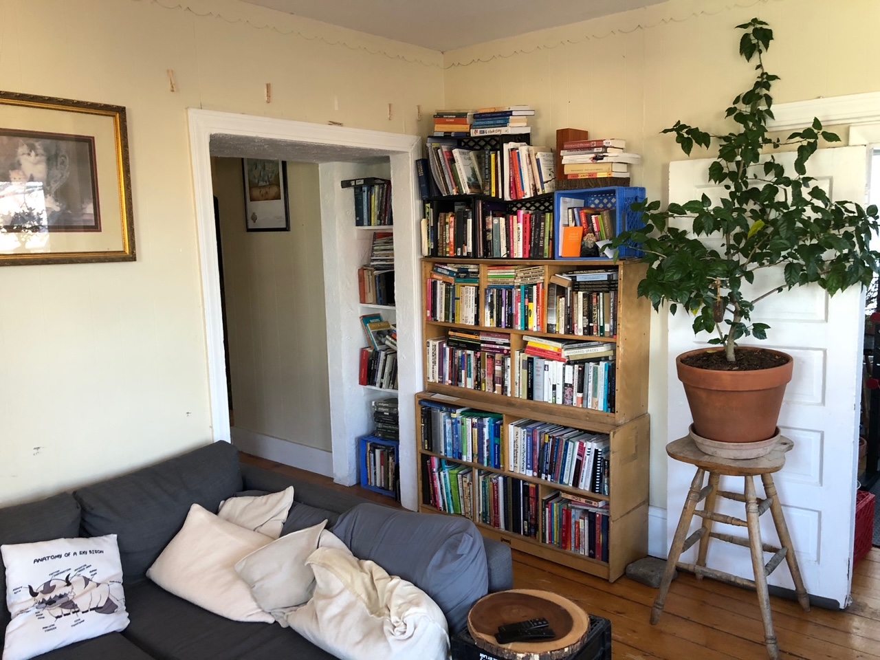 48 Jaques St, Magoun Square