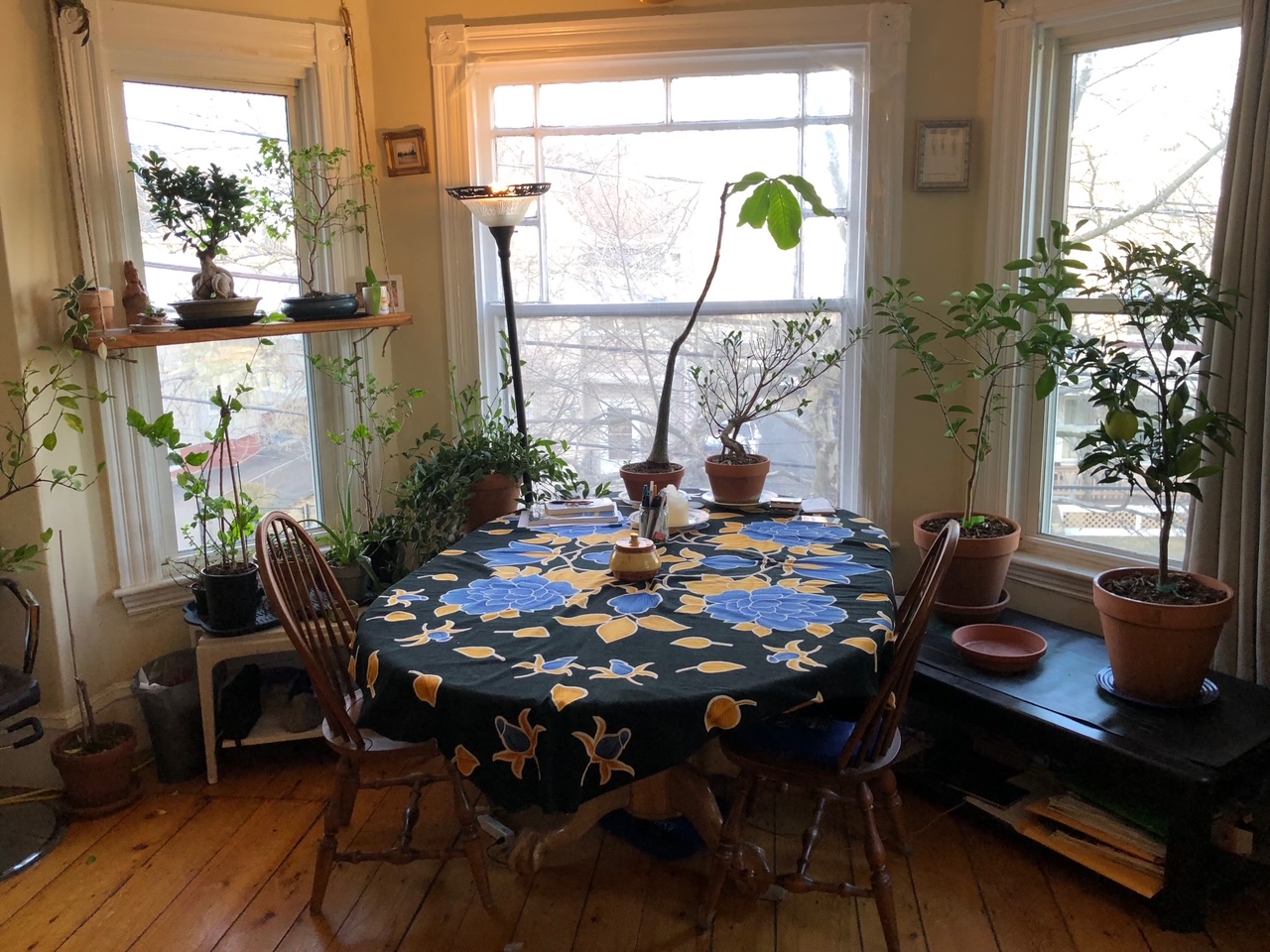 48 Jaques St, Magoun Square