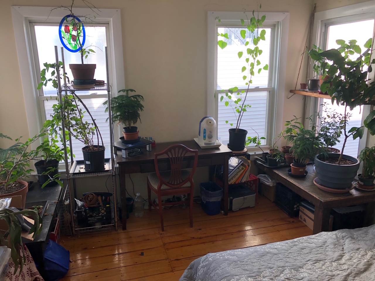 48 Jaques St, Magoun Square