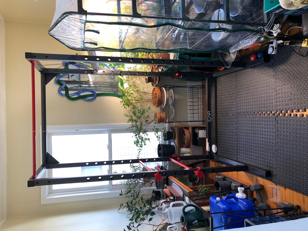 48 Jaques St, Magoun Square