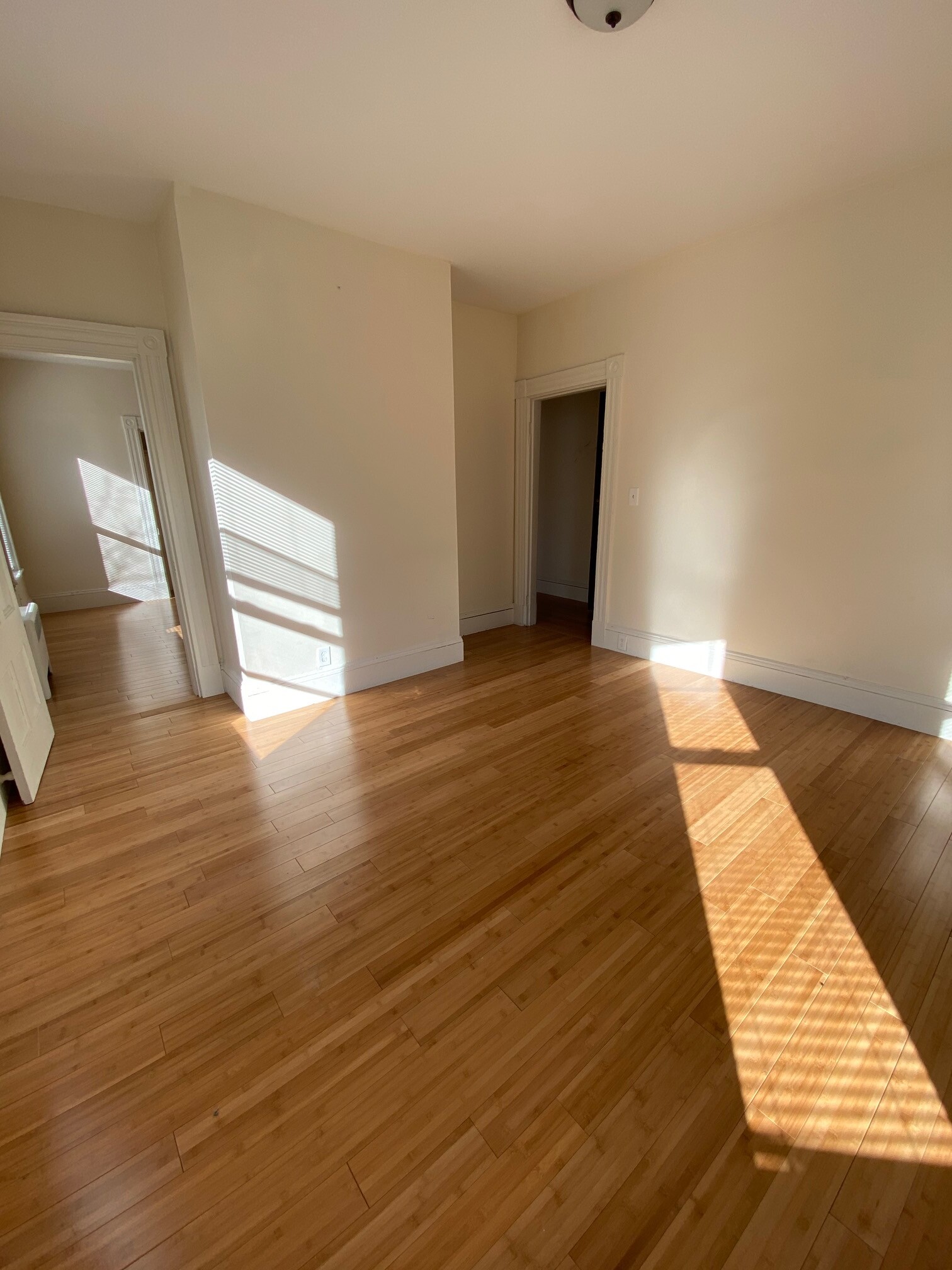 23 Thorndike St, Davis Square