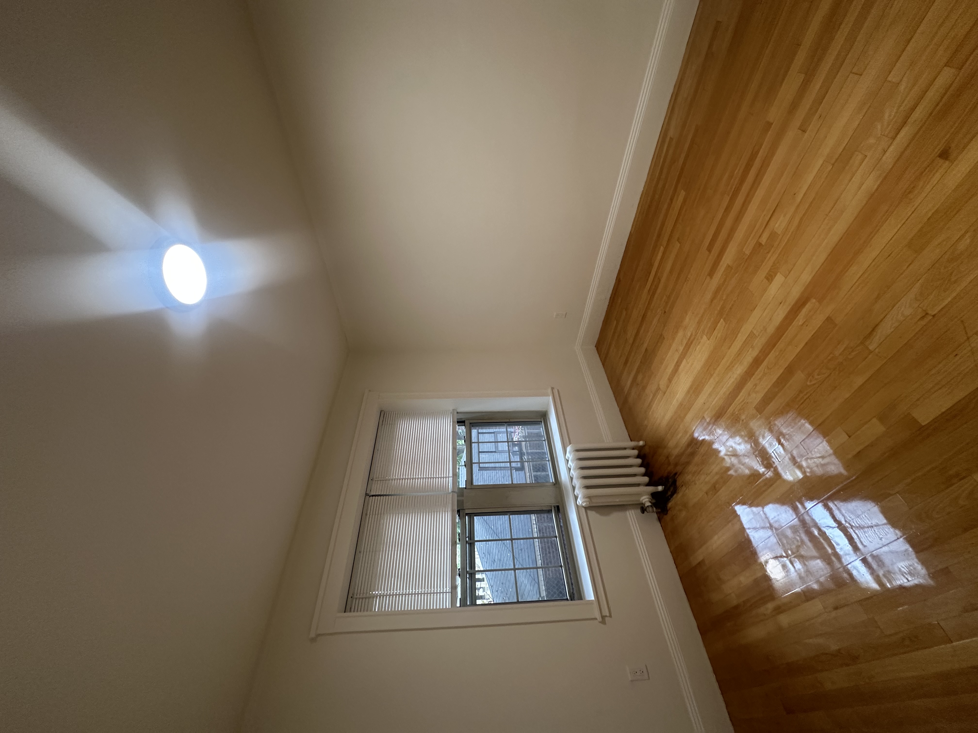 3 Concord Ave, Neighborhood Nine