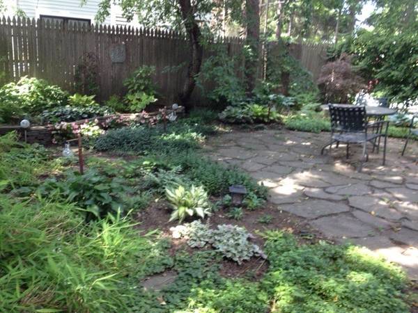 390 Highland Ave, Davis Square