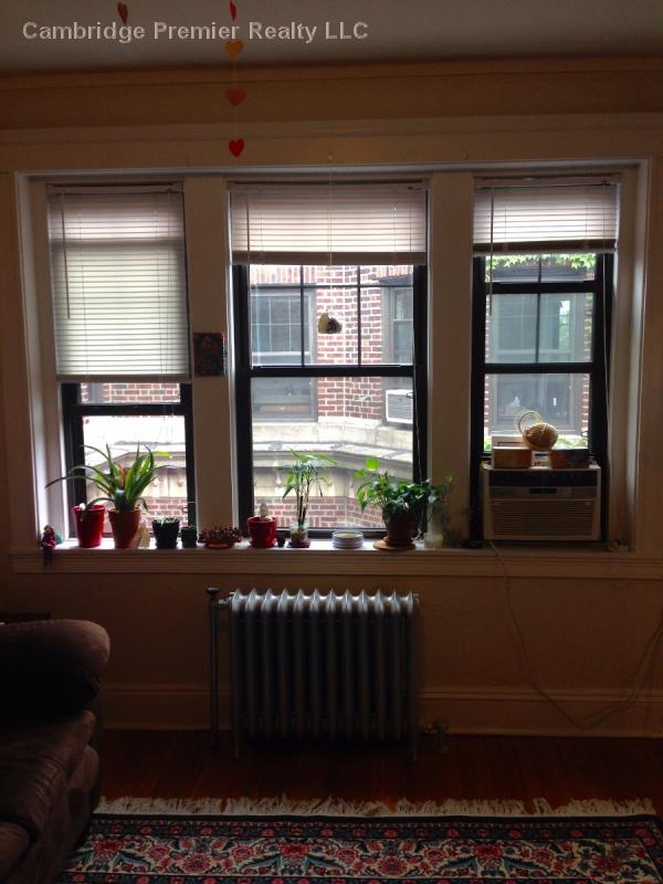 1558 Massachusetts Ave, Neighborhood Nine