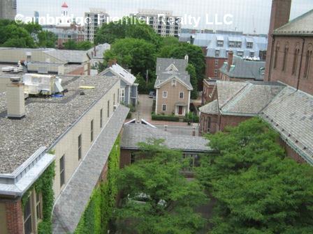 1200 Massachusetts Ave, Harvard Square