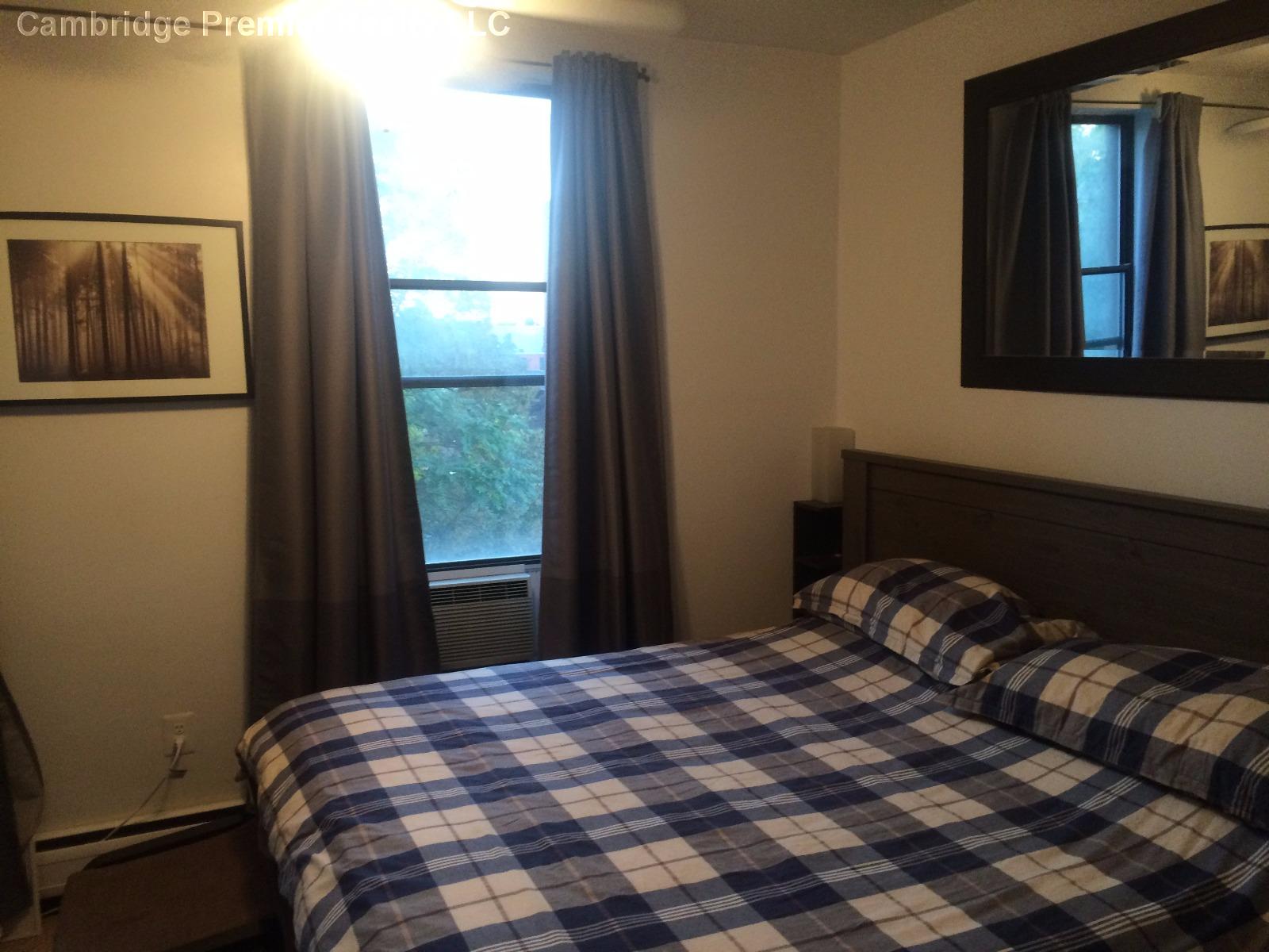 247 Pearl St, Winter Hill