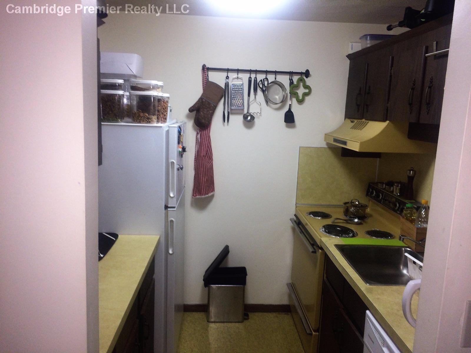 11 Adelaide Rd, Spring Hill