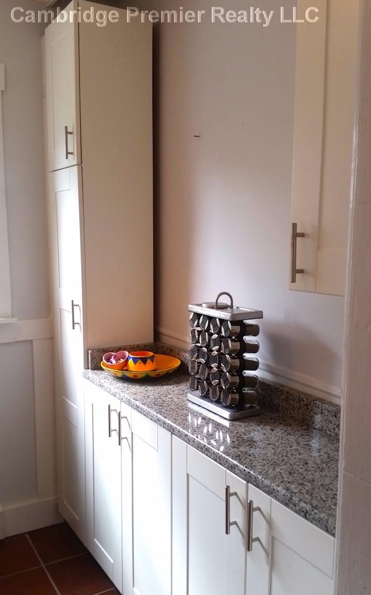 11 Rindgefield St, North Cambridge