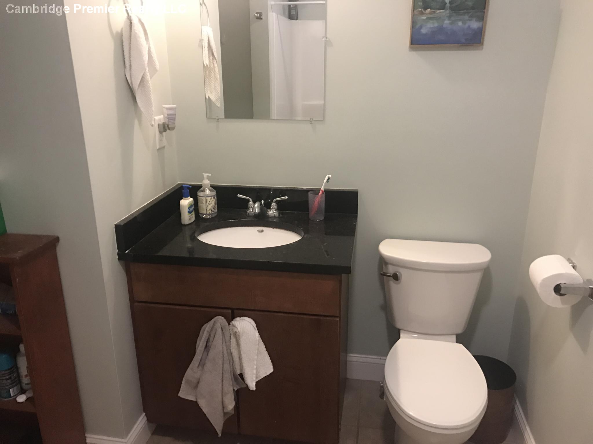 19 Calvin St, Inman Square